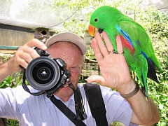 028 Birdworld Kuranda